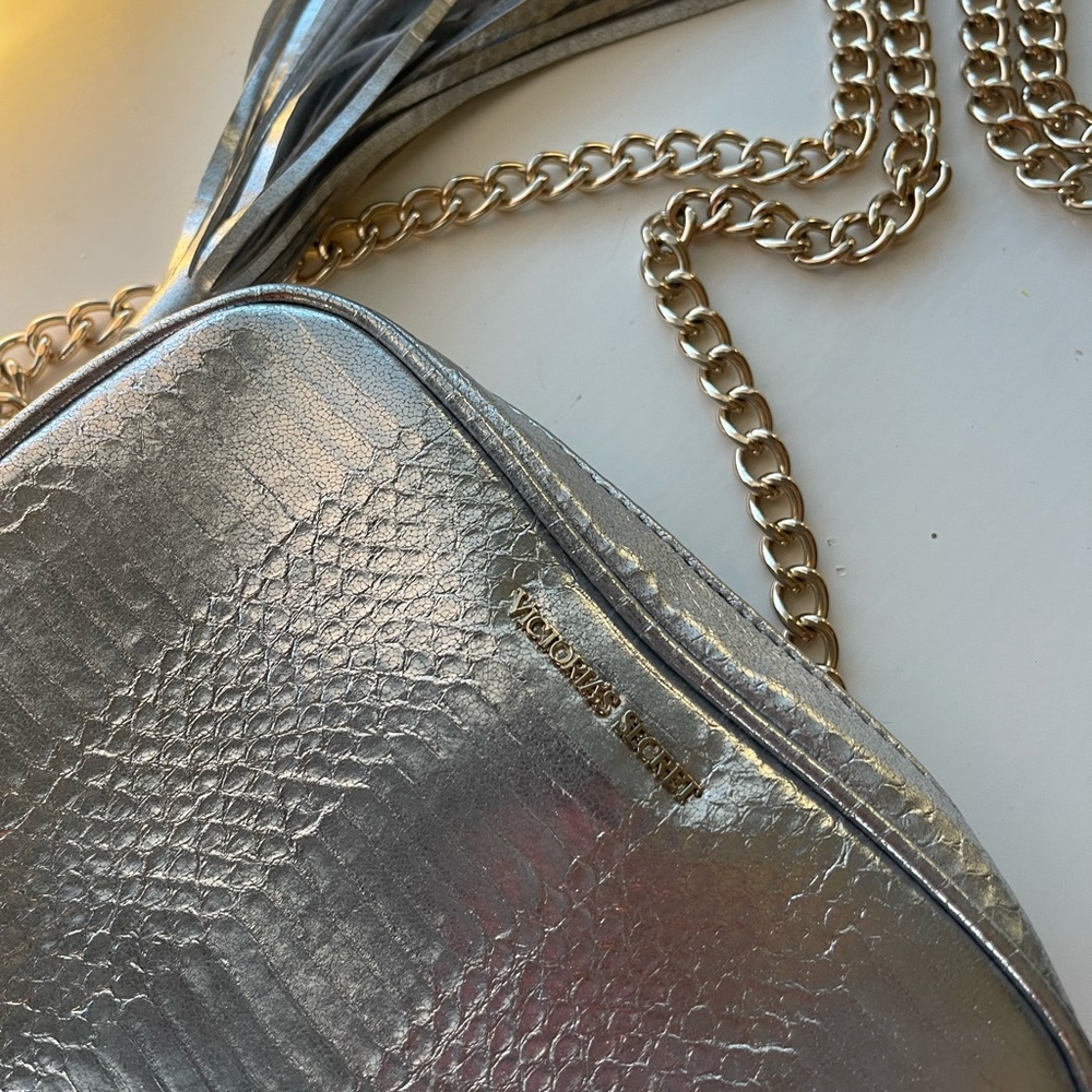 VS SILVER SNAKE PURSE